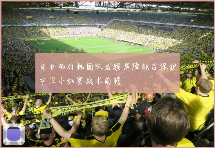 南非面对韩国队后腰屏障能否保护中卫小组赛战术前瞻