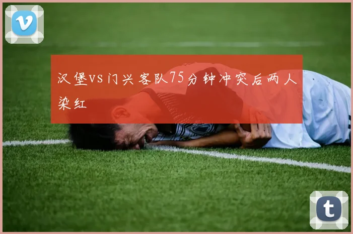 B0B体育APP (官方网站入口)下载官方IOS 安卓版 手机版APP - 汉程下载网